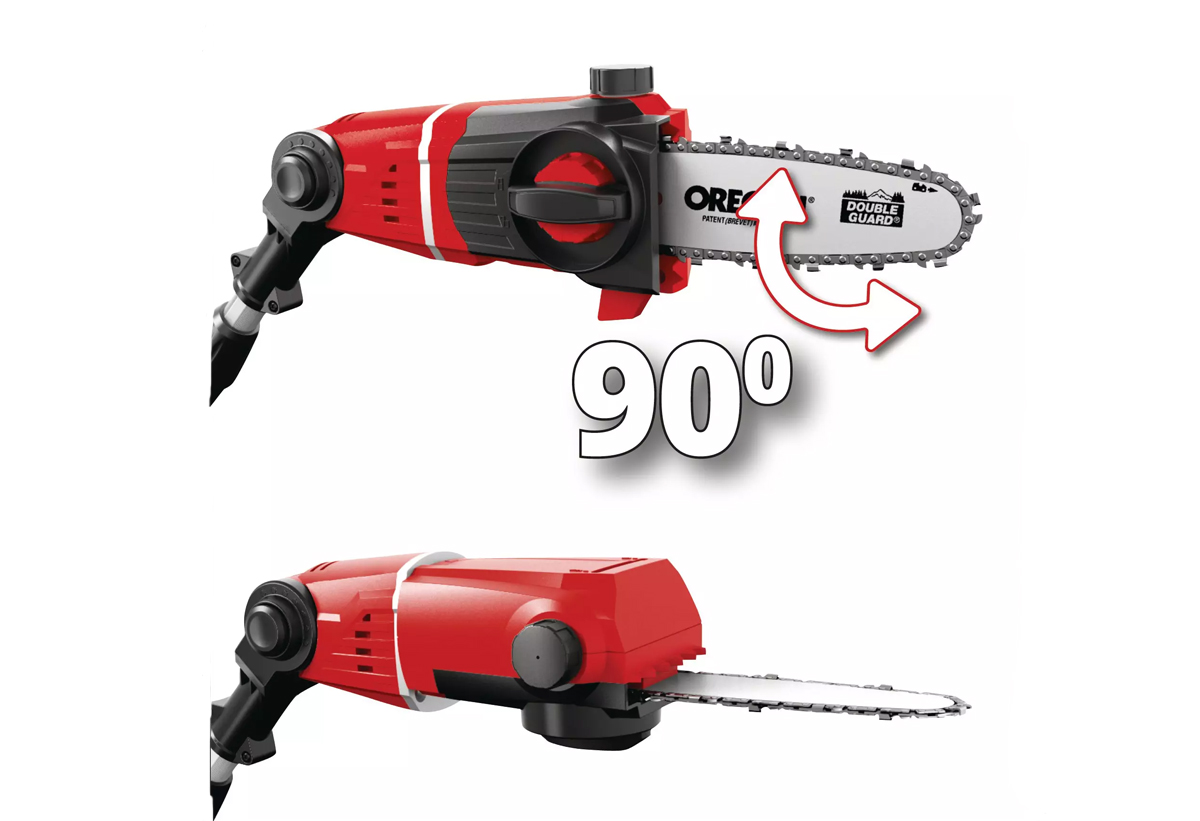 Απεικονίζεται το κονταροπρίονο 